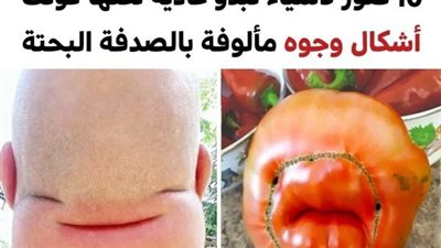 article
