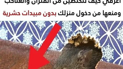 article