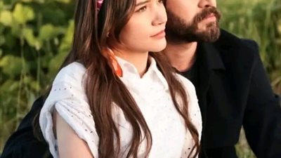 article