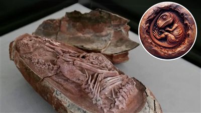 article